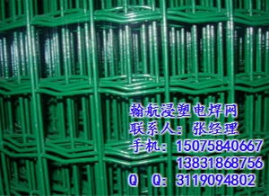 高品質(zhì)焊接網(wǎng)系列 美格網(wǎng)、荷蘭網(wǎng)、電焊網(wǎng)、護(hù)欄網(wǎng)、建筑網(wǎng)片優(yōu)惠價(jià)格大放送